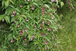 Image: Trevor James © Trevor James 